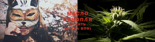 apvp Вяземский