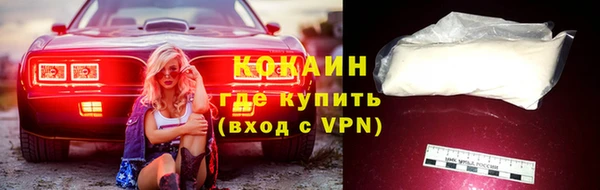 apvp Вяземский