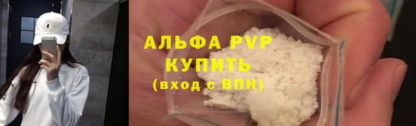 apvp Вяземский