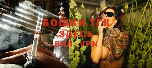 apvp Вяземский