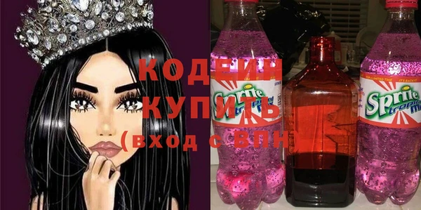apvp Вяземский