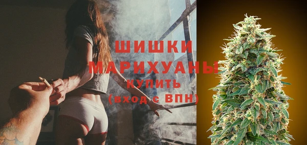 apvp Вяземский