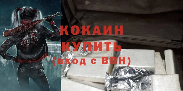 apvp Вяземский