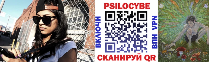 Галлюциногенные грибы Psilocybine cubensis  Неман 
